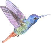 A lifetime of <span>Confidence</span> starts here